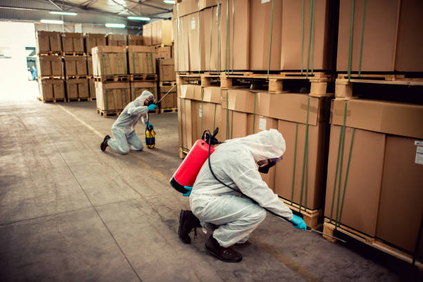 Best Pest Prevention Services  in Feather Sound, FL