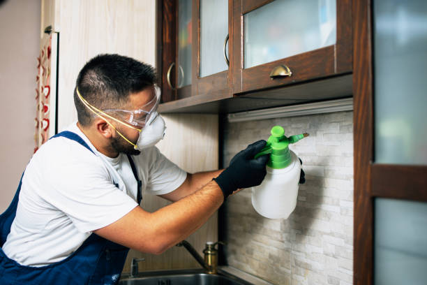 Best Best Pest Control Companies  in Feather Sound, FL