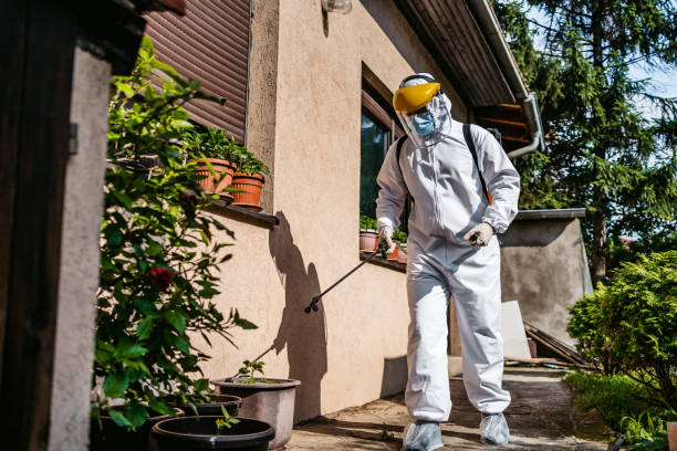 Best Commercial Pest Control Services  in Feather Sound, FL