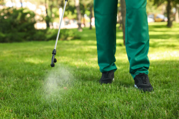 Best Pest Control for Homes  in Feather Sound, FL