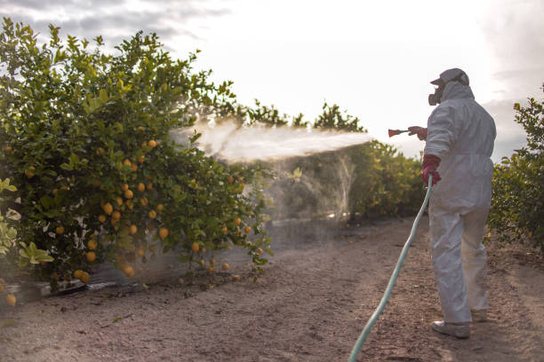 Best Pest Removal Services  in Feather Sound, FL