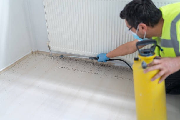 Pest Prevention Services in Feather Sound, FL