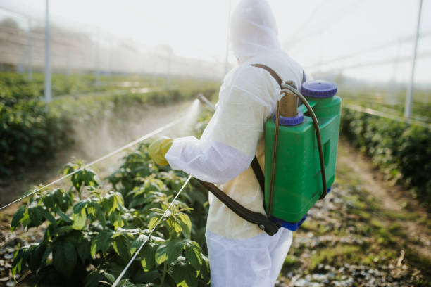 Pest Control Cost in Feather Sound, FL